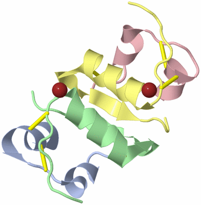 Image Biological Unit 8