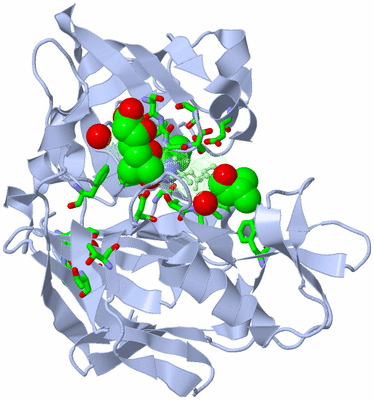 Image Asym./Biol. Unit - sites