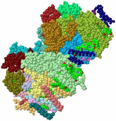 Image Asym./Biol. Unit