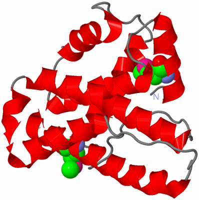 Image Asymmetric Unit