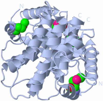 Image Biological Unit 1