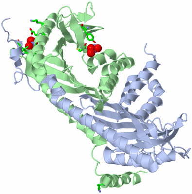 Image Biol. Unit 1 - sites