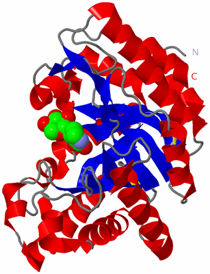 Image Asym./Biol. Unit