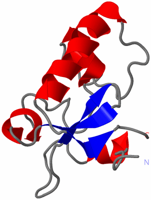Image NMR Structure - model 1