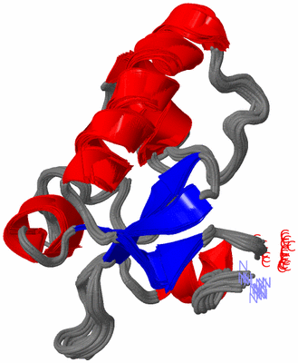 Image NMR Structure - all models