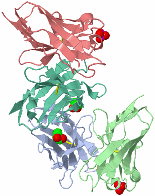 Image Biological Unit 3