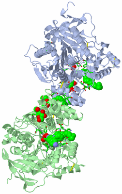 Image Asym./Biol. Unit - sites