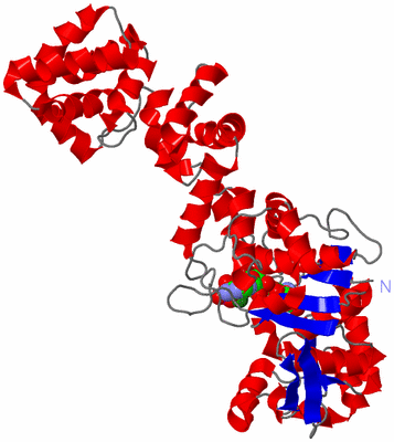 Image Asym./Biol. Unit