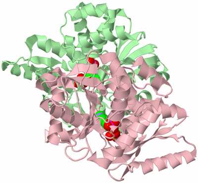 Image Biological Unit 2