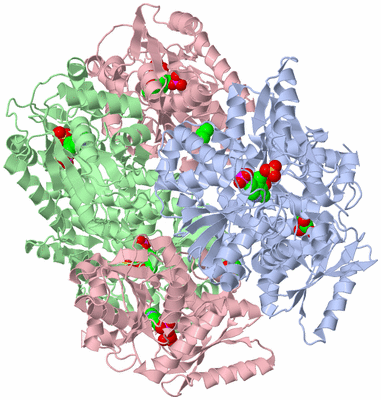 Image Biological Unit 3