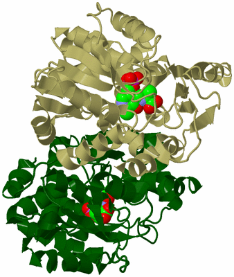 Image Biological Unit 10