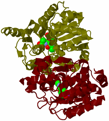 Image Biological Unit 11