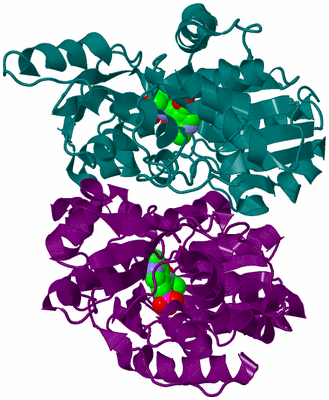 Image Biological Unit 12