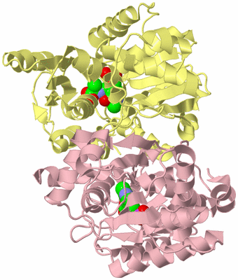 Image Biological Unit 2