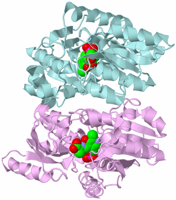 Image Biological Unit 3