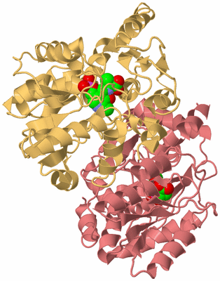 Image Biological Unit 4