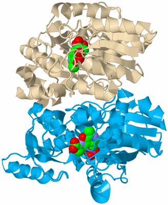 Image Biological Unit 5