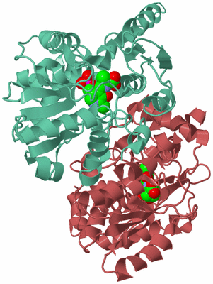 Image Biological Unit 6