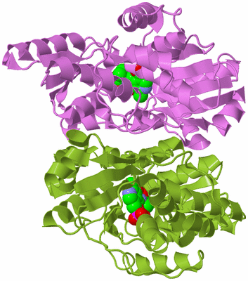 Image Biological Unit 7