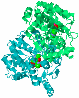 Image Biological Unit 8