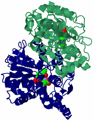 Image Biological Unit 9