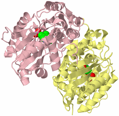 Image Biological Unit 2