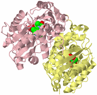 Image Biological Unit 2