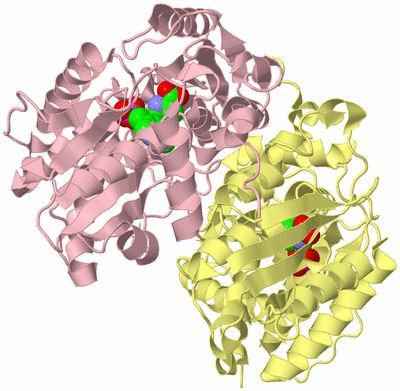 Image Biological Unit 2