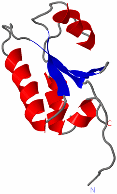 Image NMR Structure - model 1