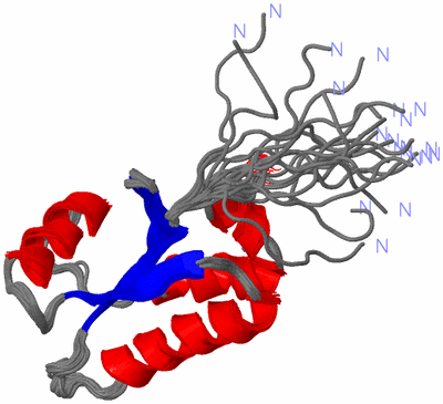 Image NMR Structure - all models