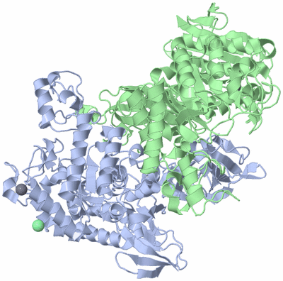 Image Asym./Biol. Unit