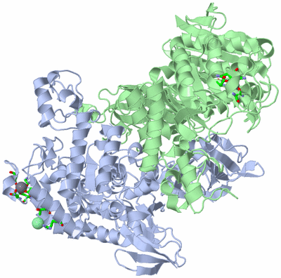 Image Asym./Biol. Unit - sites