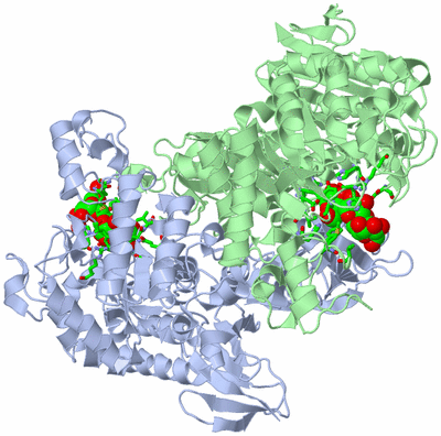 Image Asym./Biol. Unit - sites