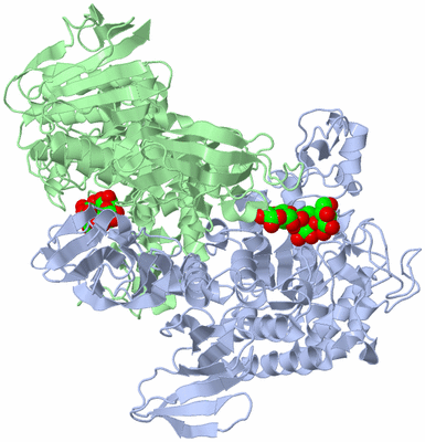 Image Asym./Biol. Unit