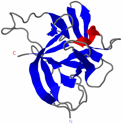 Image NMR Structure - model 1