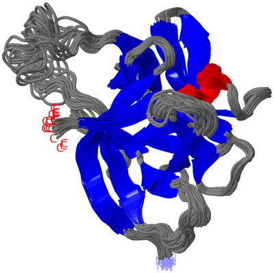 Image NMR Structure - all models