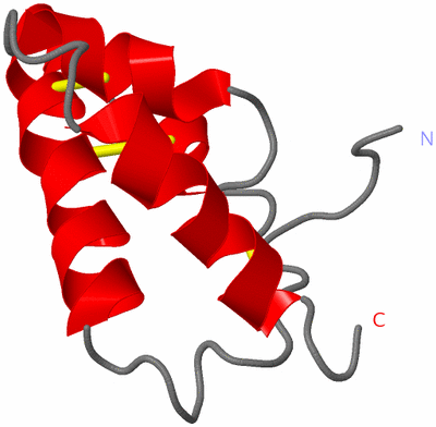 Image NMR Structure - model 1