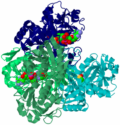 Image Asym./Biol. Unit