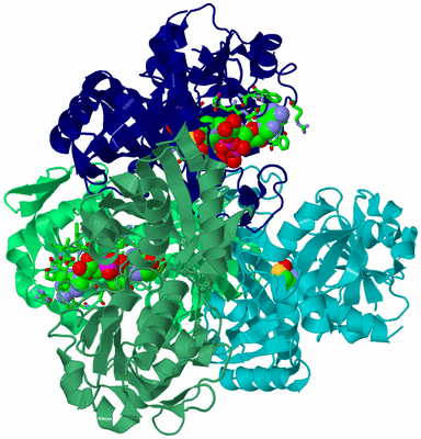 Image Asym./Biol. Unit - sites