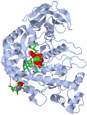 Image Biol. Unit 1 - sites