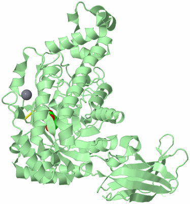 Image Biological Unit 2