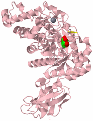 Image Biological Unit 3