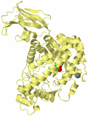 Image Biological Unit 4