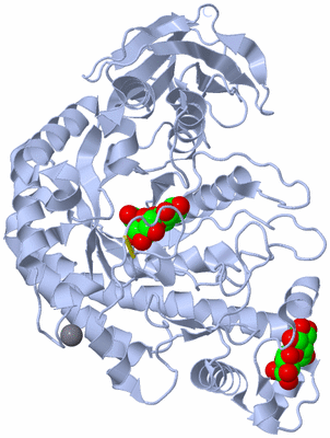 Image Biological Unit 1