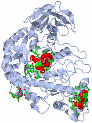 Image Biol. Unit 1 - sites