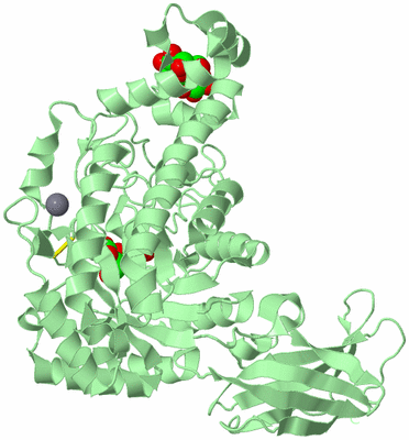 Image Biological Unit 2