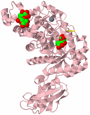 Image Biological Unit 3