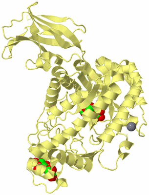 Image Biological Unit 4