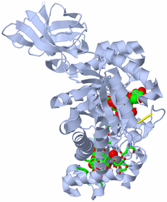 Image Biol. Unit 1 - sites