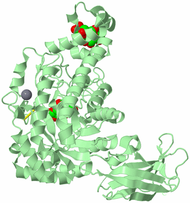 Image Biological Unit 2